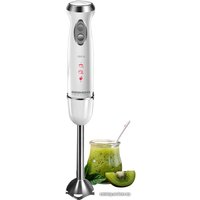 Погружной блендер Redmond (Редмонд) RHB-2989