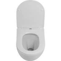 Унитаз подвесной Cezares Stream CZR-2426-TH-TOR/SC в Борисове