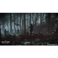 Компьютерная игра PC Ведьмак 3: Дикая Охота