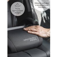 Детское сиденье Amarobaby Enjoy AB222007ECh/09 (черный)