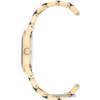 Наручные часы Anne Klein 3610GPBK