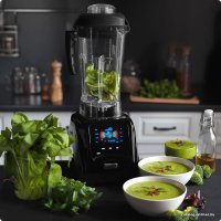 Стационарный блендер Rawmid Dream Modern 2 BDM-06 (черный)