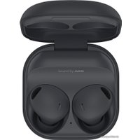 Наушники Samsung Galaxy Buds 2 Pro (графитовый)