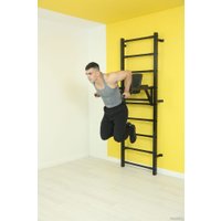 Брусья DSK 11.05.08 (черный)