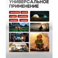 Фонарь FORSAGE FK-TH2160 (65846)