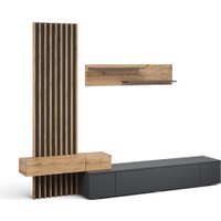 Шкаф-купе Империал Риана 2.5м (вотан/антрацит) в Бресте