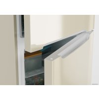 Холодильник Candy CCRN 6200C