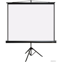 Проекционный экран PL Magna TRM-AV-84
