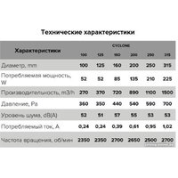 Осевой вентилятор ERA D315 Pro Cyclone 315