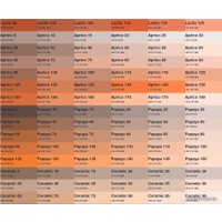 Краска Belkras Фасадная (15 кг, яркие тона)