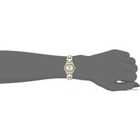 Наручные часы Anne Klein 6777SVTT