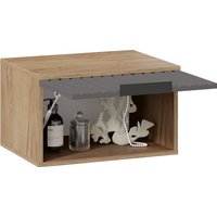 Тумба для обуви Трия Хилтон №4 251068 (дуб крафт золотой/графит матовый)