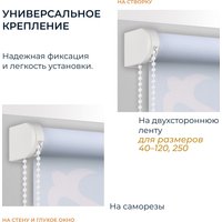 Мини рулонные шторы Franc Gardiner Print Небесные ласточки 90x160 9403217809 (голубой)