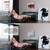 Телевизор AVEL AVS245SMFM