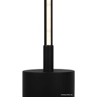 Торшер Maytoni MOD147FL-L20BK1