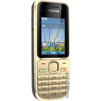 Кнопочный телефон Nokia C2-01