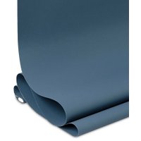 Рулонные шторы Legrand Мона 61.5x175 (синий)