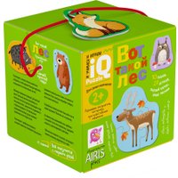 Развивающая игра Айрис-Пресс Для самых маленьких 2+. Вот такой лес 9785811284122