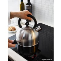 Чайник со свистком Swed House Hijken MR3-838