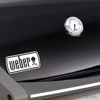 Газовый гриль для дачи Weber Spirit E-320 Original GBS