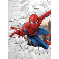 Фотообои ФабрикаФресок Человек Паук из Стены 1002270 (200x270) в Витебске