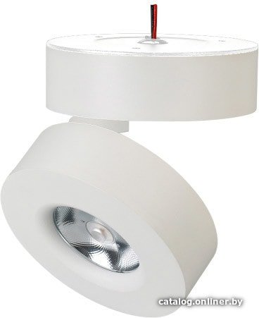 Спот Arlight SP-MONA-SURFACE-R100-12W Warm3000 025440(1)