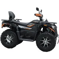 Квадроцикл Motoland Max 300 X Efi (черный) в Могилеве