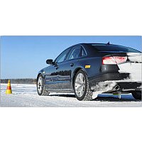 Зимние шины Pirelli Winter Ice Zero 245/55R19 107T