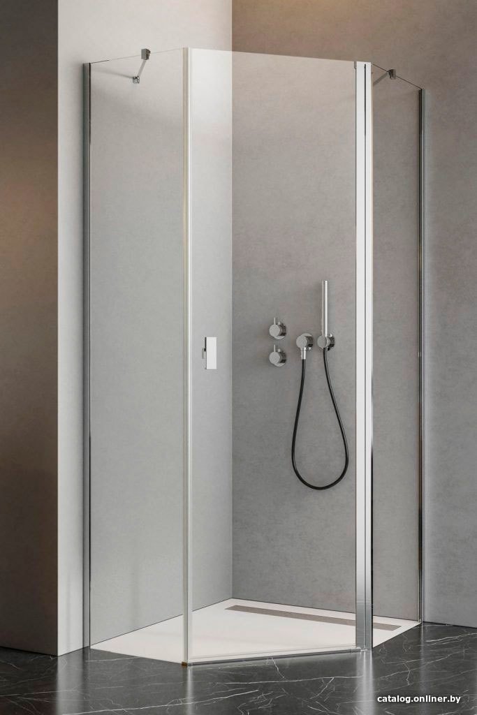 Душевая дверь Radaway Nes PTJ Door R