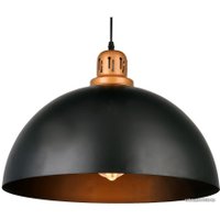 Светильник Arte Lamp Eurica A4249SP-1BK