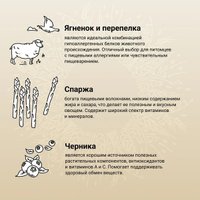 Сухой корм для собак Craftia Natura для щенков средних и крупных пород с ягненком и перепелкой (7кг)