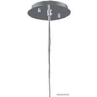 Подвесная люстра Favourite Multivello 1156-1P