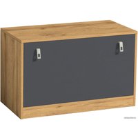 Тумба для обуви Глазов Комфорт 16 (дуб золотистый/графит)