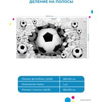 Фотообои ФабрикаФресок Футбольные мячи из стены 721185 (185x100)