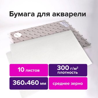 BRAUBERG Art Premiere 113228 (10 л)