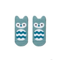 Носки Conte-kids Tip-Top Совята 17С-59СП (р. 12, бледно-бирюзовый 320)