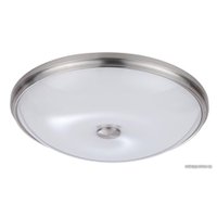 Светильник-тарелка Odeon Light Pellow 4957/5