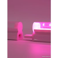 Лампа для растений Glanzen RPD-0600-10-fito