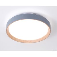 Светильник-тарелка Ambrella light Design FZ1320