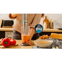 Погружной блендер Cecotec Katana 15 Jar B