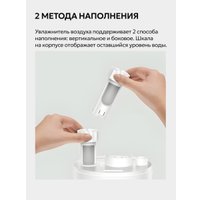 Увлажнитель воздуха Deerma DEM-LD220 (международная версия)