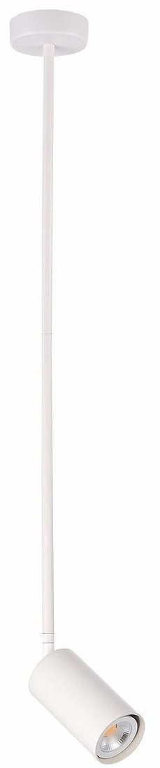 

Подвесная люстра ST Luce Sormano SL1206.503.01