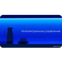 Готовый комплект светодиодной ленты Yeelight LED Lightstrip 1S YLDD05YL 2 м