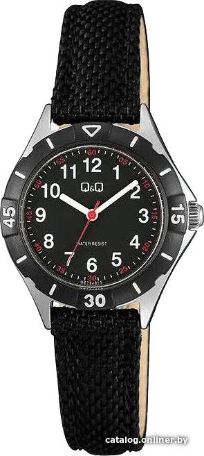 Наручные часы Q&Q QZ75J315