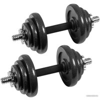 Набор гантелей ProFit MDK-101-14-2 20 кг