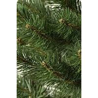Пихта Erbis Jodla 120