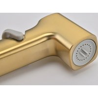 Гигиенический душ Rose R245G