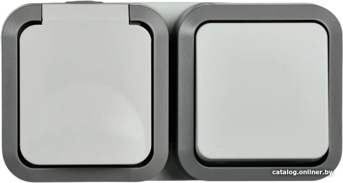 Розетка IEK Tors TS-G10-6-55-V-K41