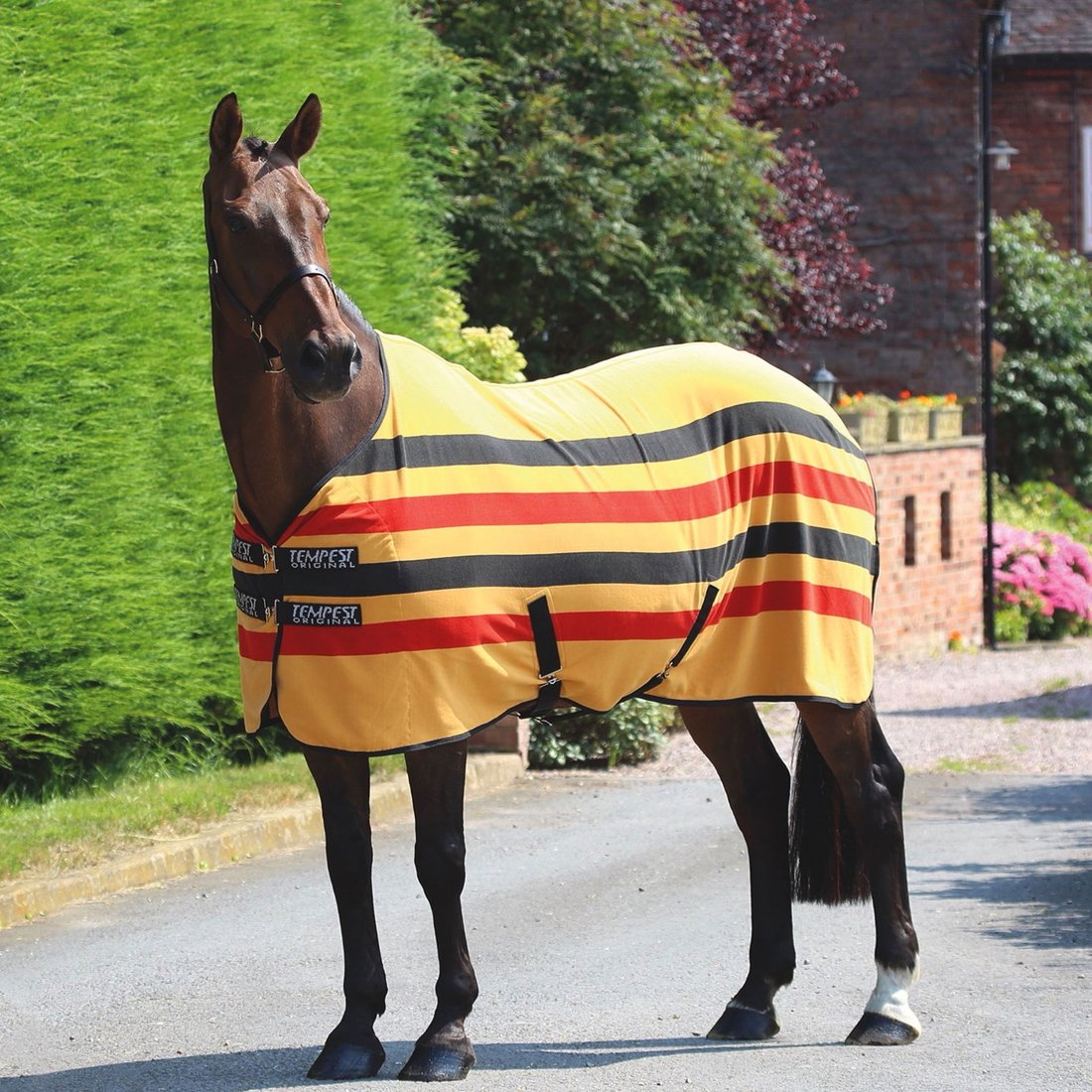 

Попона для животных Shires Tempest Original Newmarket 165 (желтый/черный/красный)
