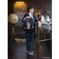 Школьный рюкзак SkyName R2-202 + брелок мячик